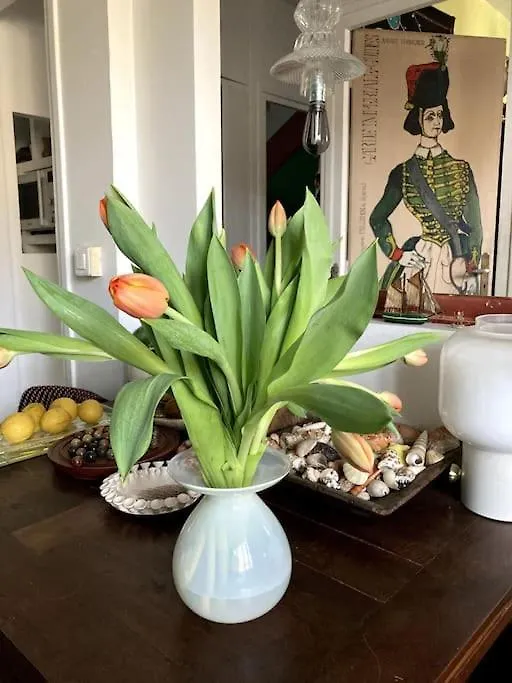 Appartement Maison Avec Jardin Parijs Frankrijk